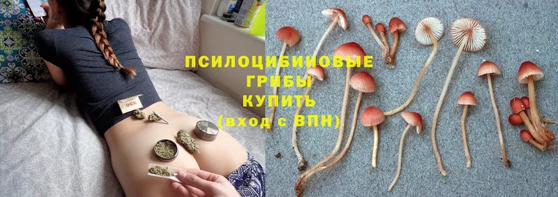 Псилоцибиновые грибы MAGIC MUSHROOMS  даркнет формула  Гуково 